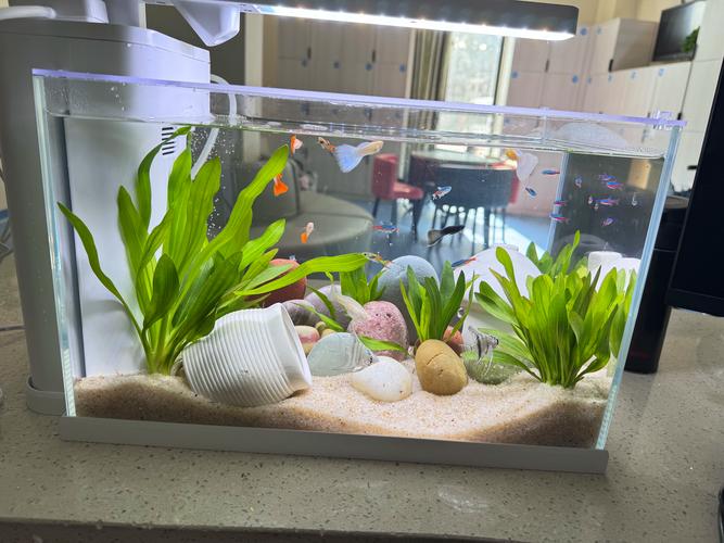 YEE迷你數(shù)顯恒溫加熱棒 小型水族箱與低水位環(huán)境的智能溫控解決方案